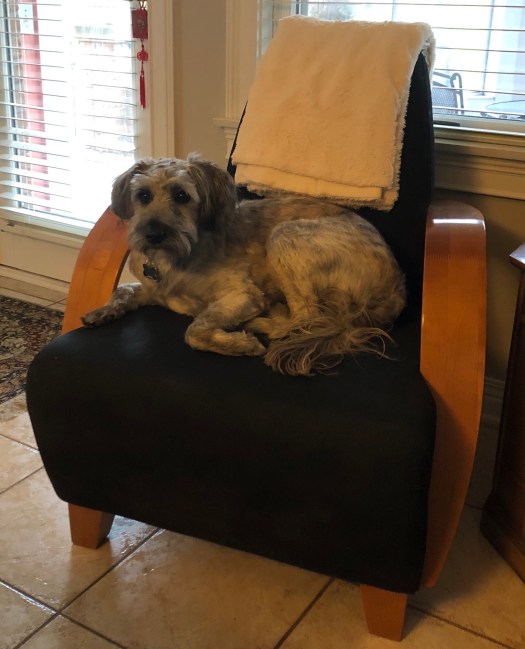 882276FA-3672-43B0-9571-38B989D8FC49