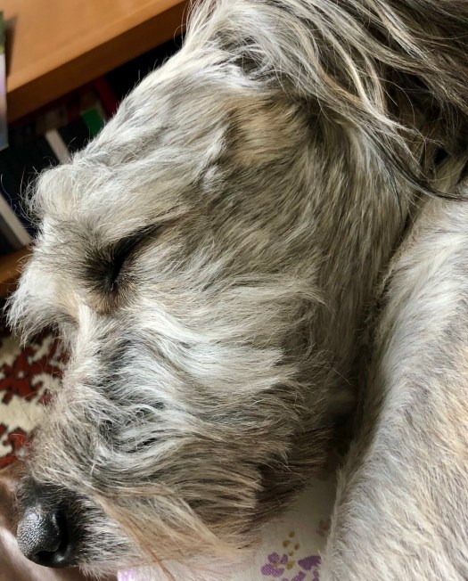 8BDCBCE2-B804-4CCD-9FAF-5FC6EABC5FB4