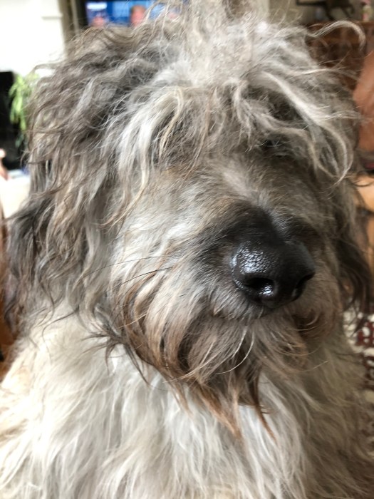 992BB1AB-5A0B-4E50-930F-86EBC0D2DB67