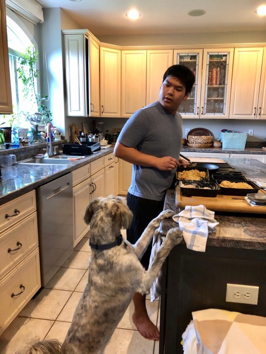 9D2EFF3A-3D12-4EBA-9D11-5129A4F156F7