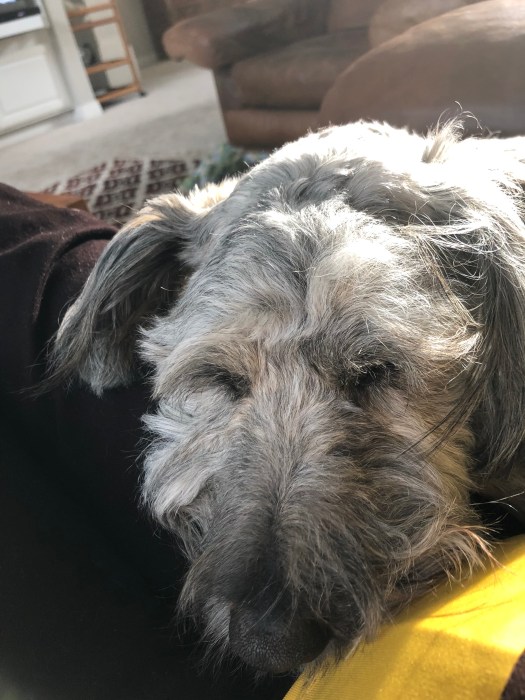 A193A71B-D95A-40B7-9D5E-ADA636D1FA00