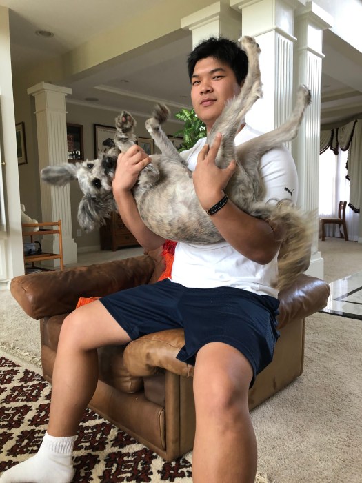 A2433F0D-C56A-476A-8840-33A26FC45C0A