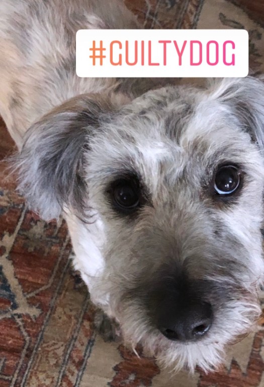 A267E3AD-221B-46F9-8034-935F912426FF