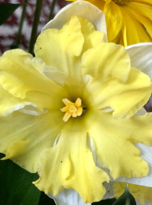 A36DD42E-871C-4621-AC3D-AD7602896339