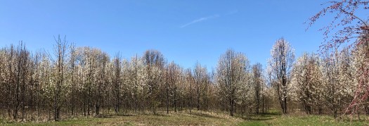 A4F02C0E-E4CB-47C4-AA79-6FA4848DEAA0