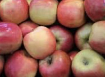 ACD47087-07A4-4716-97ED-98AA5FD2EB6C