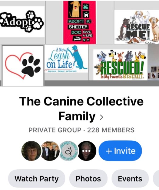 B2E6896B-DAC3-4031-A8DC-ED21E861A7CE