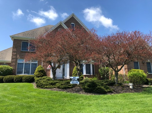 BBF992DD-C392-42B3-B460-9DEF10D8A120