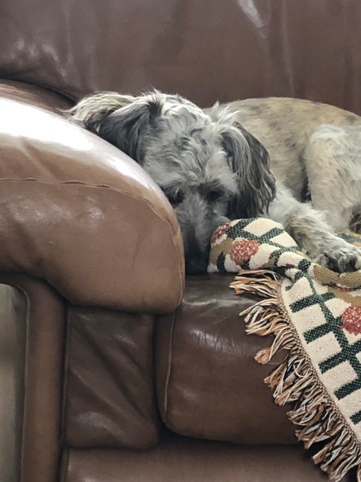 BD2F7A9D-0482-483F-B01A-E9729325839E