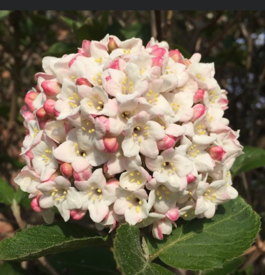 C188F77B-049E-4CBE-AC08-B3662B3DBCEE