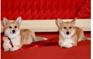 D03492FB-EFC5-413A-AA73-0D83DB8D6D60