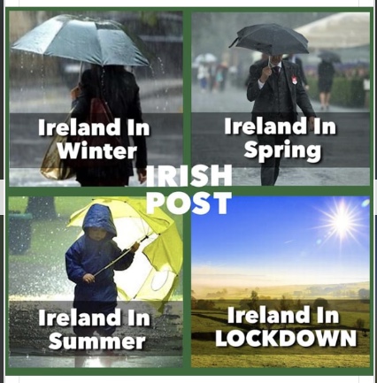 D6EE9154-E97F-42DB-8788-B22D755762CE