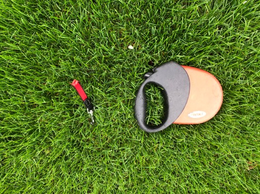 DEE5DA46-BC74-4ABC-B9F6-9C86AC570577