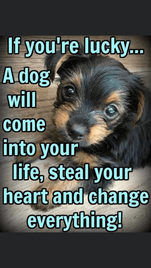 E022ABB9-73D5-43B5-BF67-565BB91465F9