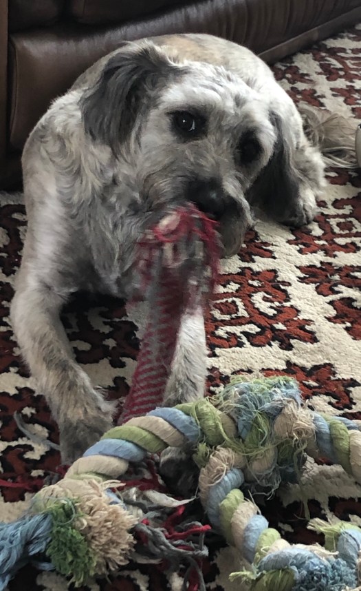 E50137A1-D79C-437A-9763-ECBBFB1CDD2A