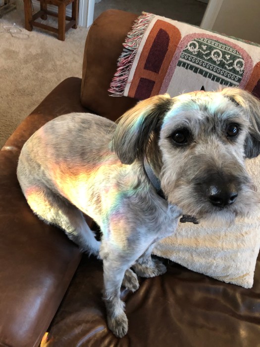 E8BC22DF-FE22-47C9-A39E-DF4E6FD86D92