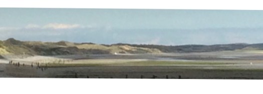 EDDD7098-A0AD-495F-B730-BF9F3E827585