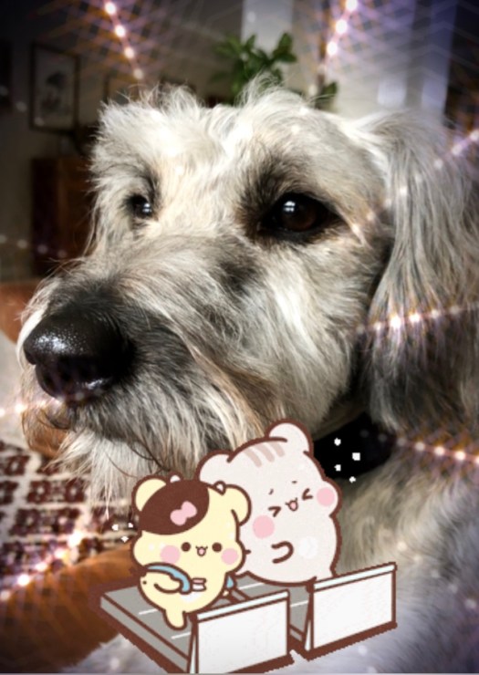 F2EC6FE0-A637-4B59-AA07-B0A2FC659AD0