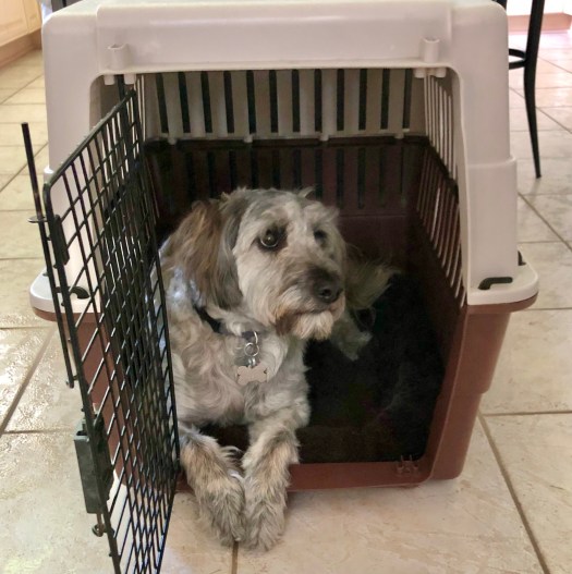 0AA1D3E7-9F0E-4C4F-B32A-CD537D034CDE