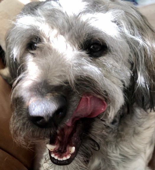 1BB04B24-C895-4CBC-8DA4-3580DC006048