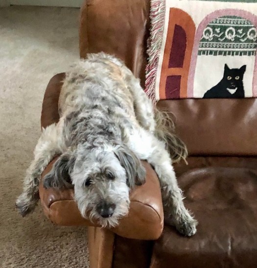 216D6A23-6A7B-4574-A6D5-784F364880D4