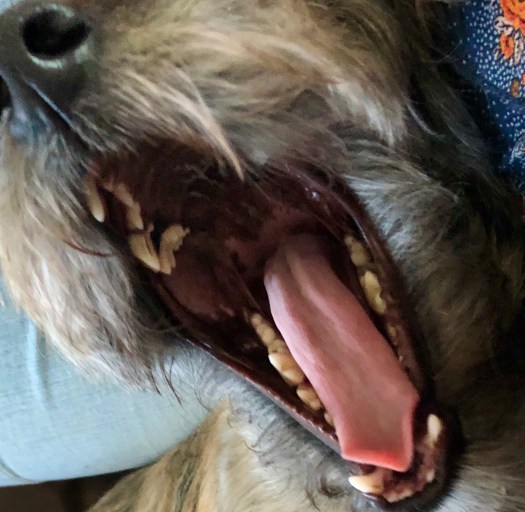 242D746C-841E-4547-BB97-996D7B6F22C3