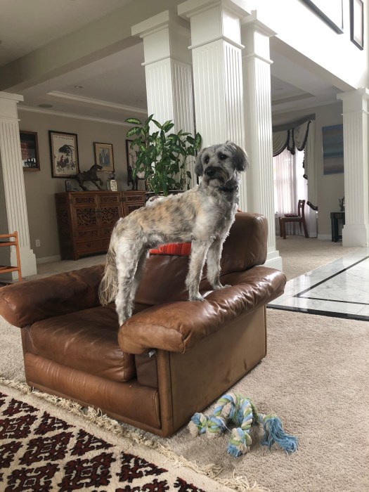 2574B614-BA86-47B5-B4F8-6E79CCC72E84