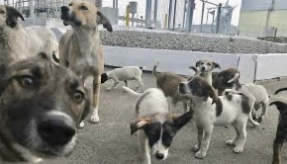 2668046A-8268-4DED-9D62-2E09B82C5877