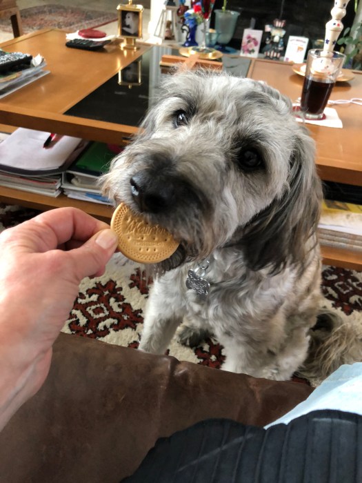 2EBEF723-8CF1-4572-B725-B68329A31E1E