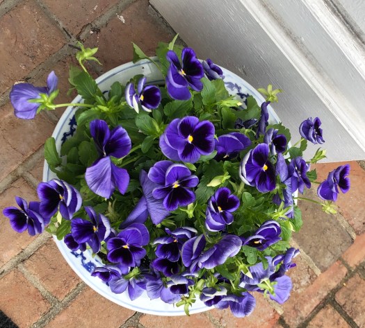 39F0A453-34B9-4C64-B79B-2D118D605C0D