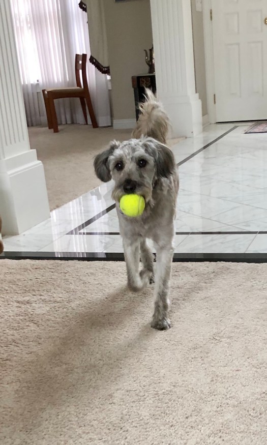 3A031887-09D9-4A57-A280-B89C4F51296F