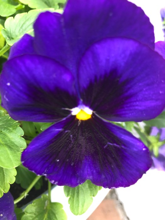 3B9A6210-3AE6-4E87-A82A-1503F6028EC3