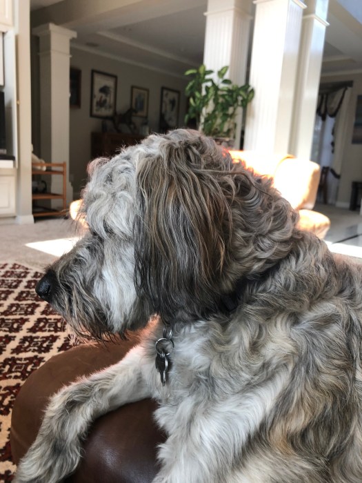 4D21F1DC-9BFD-4E32-9521-9E987D9F0D1C