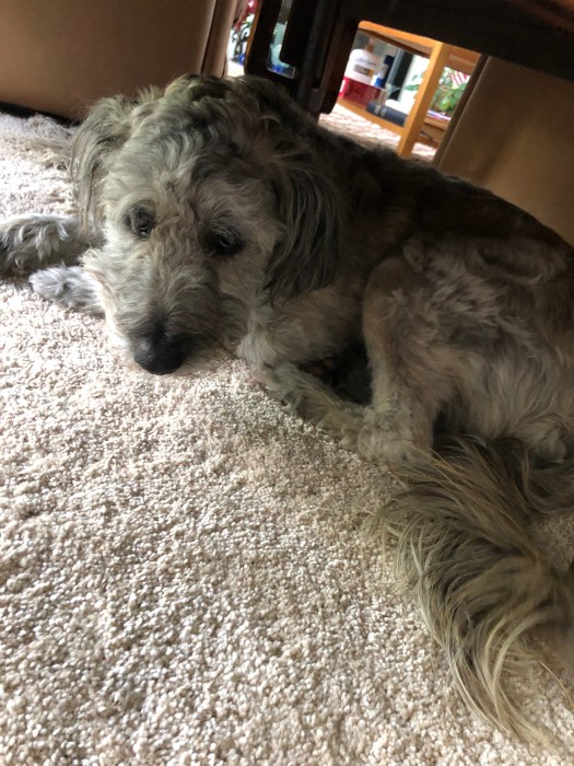 4D4953D9-E754-4C58-9692-B3166F1D5D23