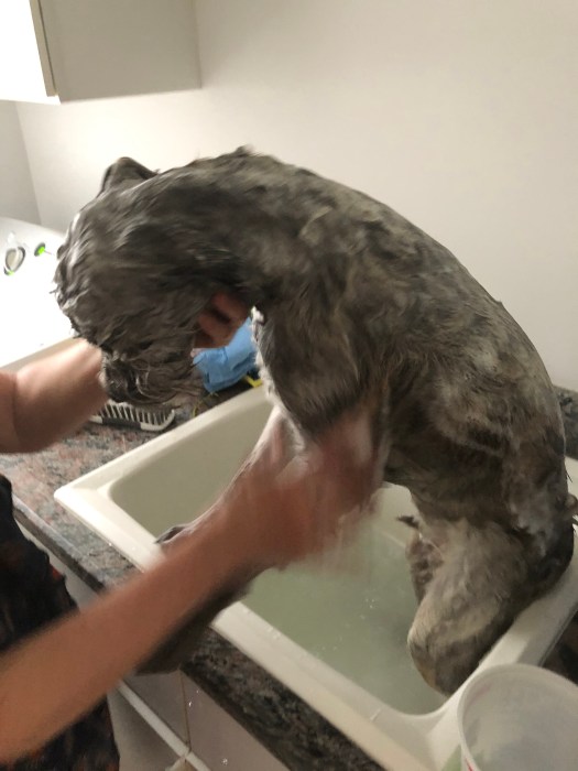 4E865953-1C6E-4C9E-AF1F-114264A1AC63