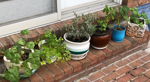 53200CD5-067A-45AB-9944-B61EF038D99C