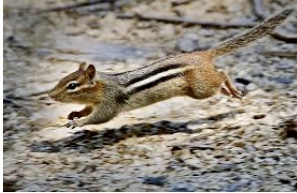 54E280A7-02A9-4068-BC34-68664D583D55