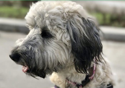 578B504D-99B7-4D00-956F-A9BEF7121436