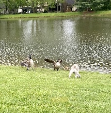 58BD2F0F-B12E-4756-8F04-F787113A21F3