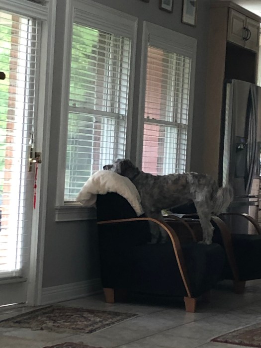 5E62CB68-7602-4C6F-B17A-A10E1C5C43DB