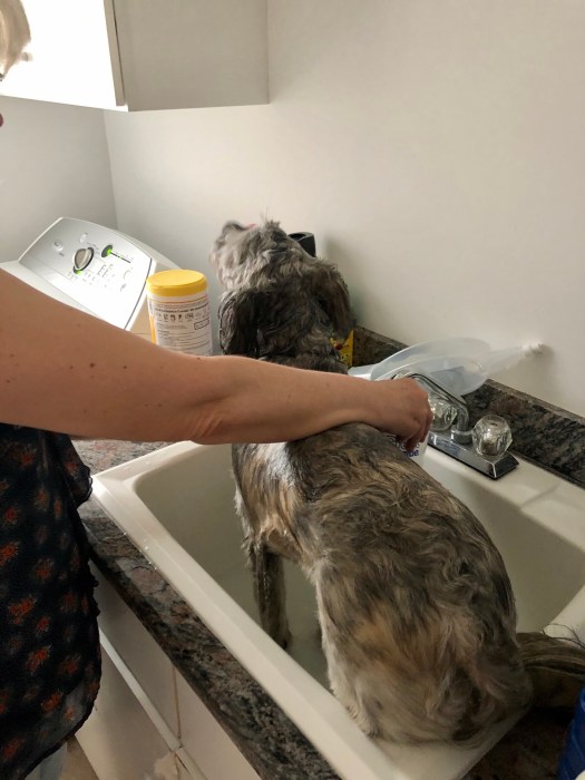 5F7F9FC0-11EE-4265-8BCD-8BA9FA8E24D9