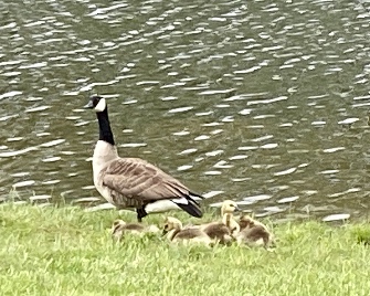 60DB99D9-AE6B-4B5F-B508-2D76E619F8FF