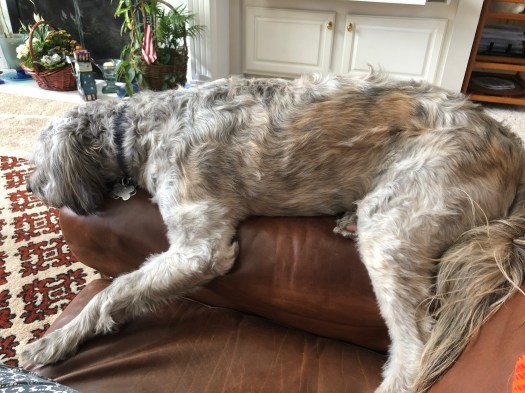 64D425BF-3D6F-4FC5-9E74-0C779DD3512E