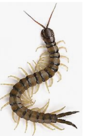 64E1F6D3-120E-4C42-8352-9890DF0CAB15