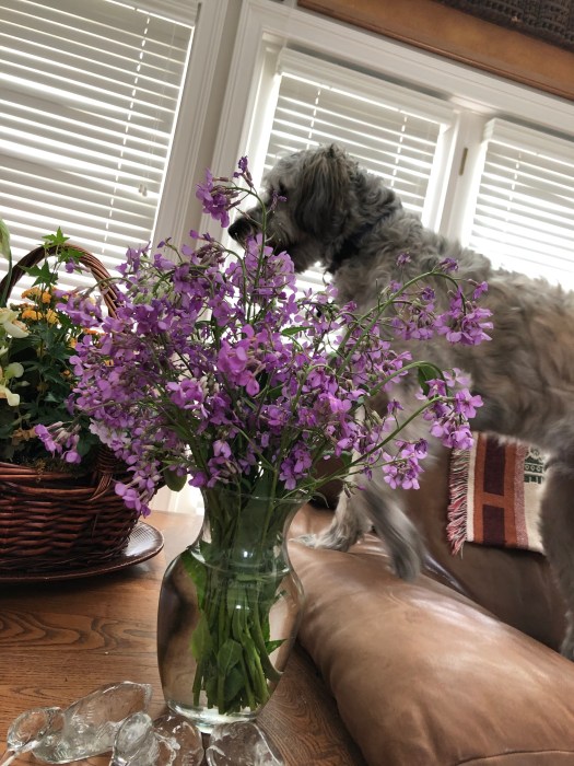 67D77D6F-E784-4260-9864-5A50FD33CDE9