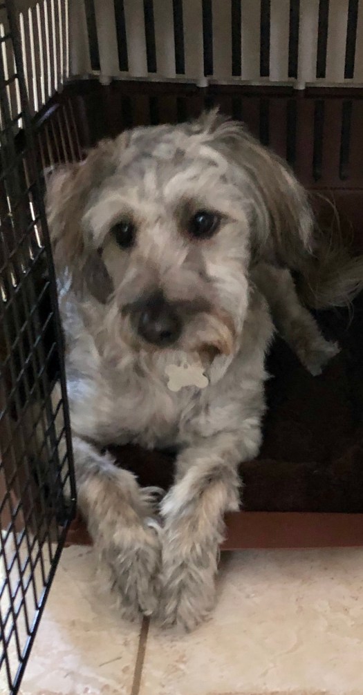 6A9E7295-32B9-4B19-95EF-DF38FA987399