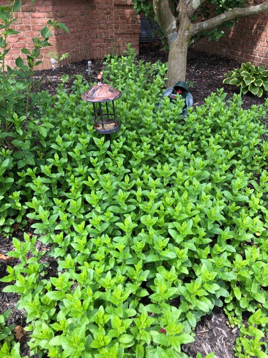 6B2B33F4-69A6-4895-9C2A-7702E7540F10