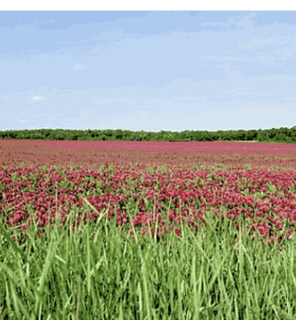 6C6D708E-662C-47DE-9012-0D05341D4720