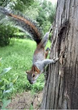 73C04691-1BA7-4F4A-837A-E5E8EA0A38EB