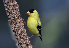 76D7C426-FD86-465D-985B-8312885B537B